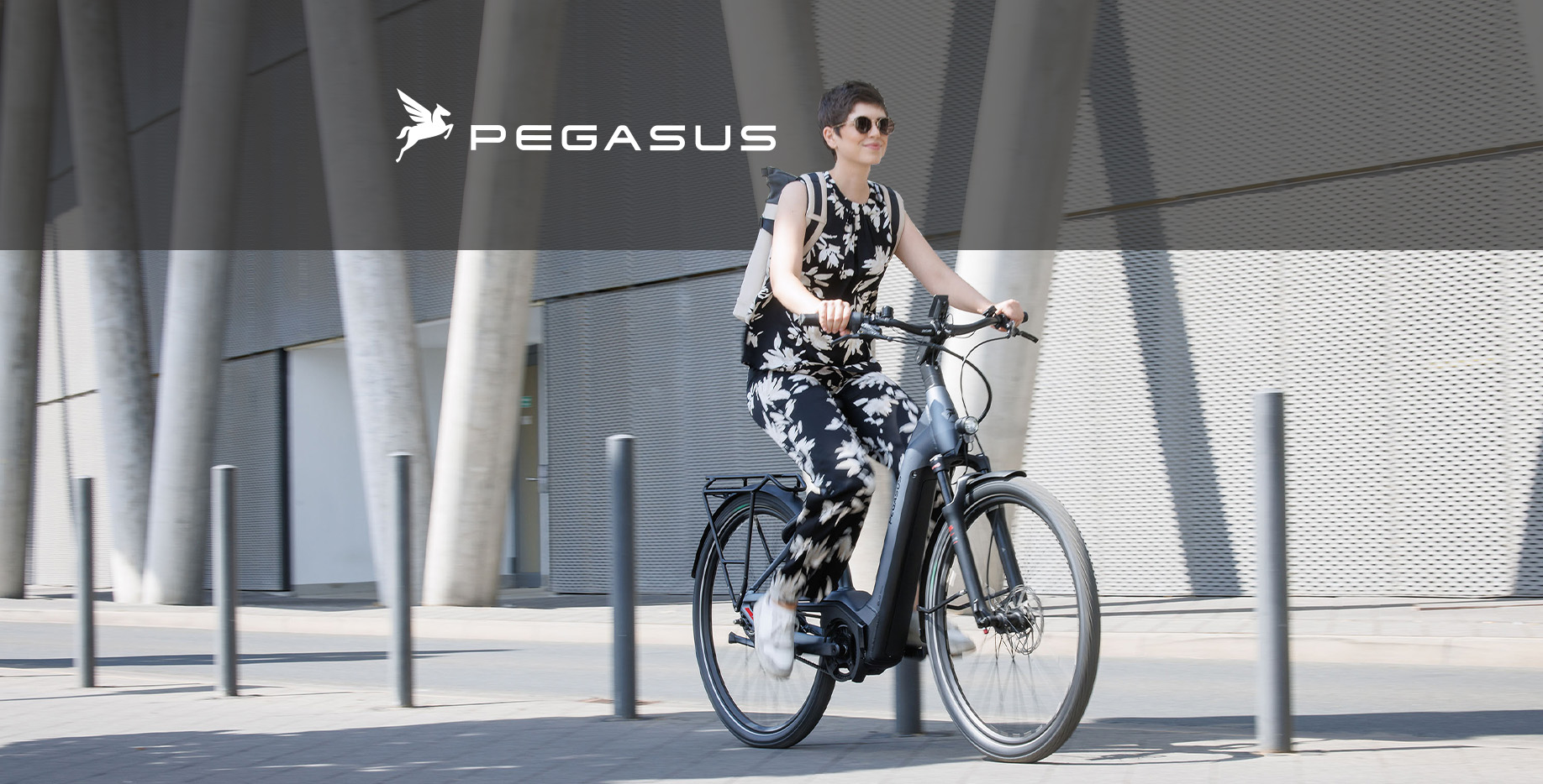 Markeneinstieg_Pegasus_NEUES-Logo_E-Bike_2023